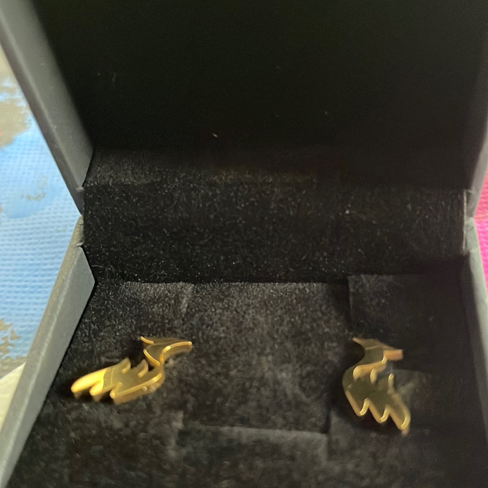 Beautiful Earing . Color gold